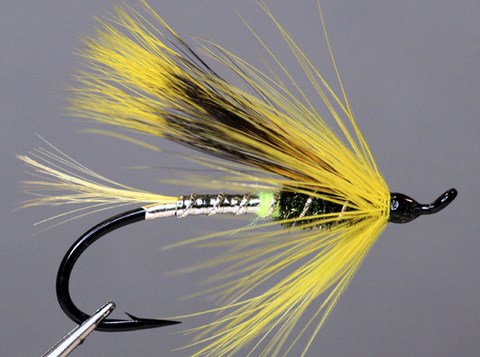 Afternoon Delight; Création Mike Crosby