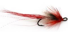 Ally's Shrimp Red and Copper