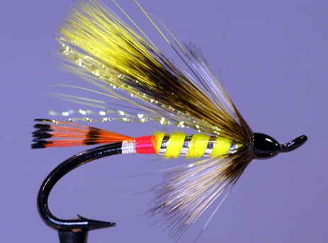 Badger and Yellow; Création Peter Dunne