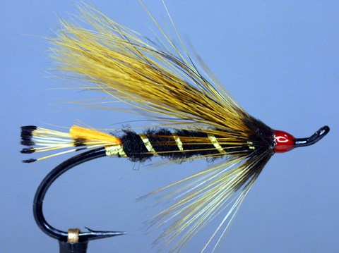 Barr Fly; Création Andy Barr