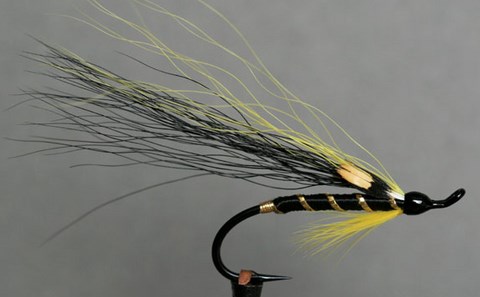 Bryson Sheep, Création William Bryson