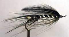 COAST BLACK SHRIMP