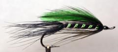 COAST EMERALD SHRIMP