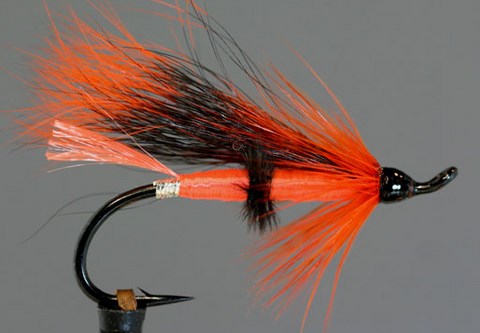 Colburn Orange, Création Walter Colburn