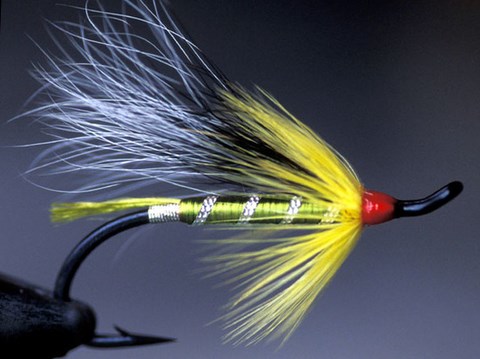 Cosseboom Special, Création John C. Cosseboom