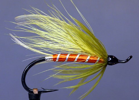 Dartmouth, Création John Cuco