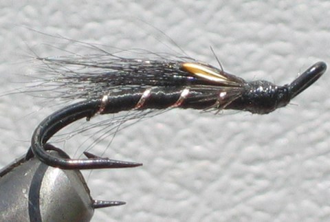 Doctor D, Création Dr. Jean-Pierre Deschênes