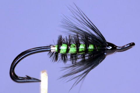 Dragon Green, Création Fran Stuart