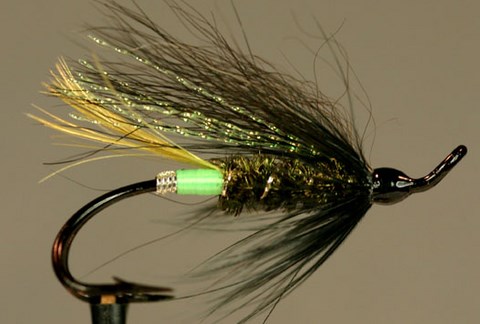 Glitter Bear, Création Bill Taylor