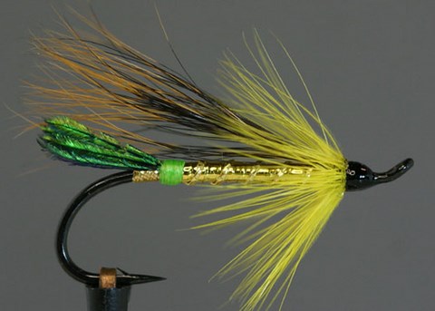 Gold Cosseboom