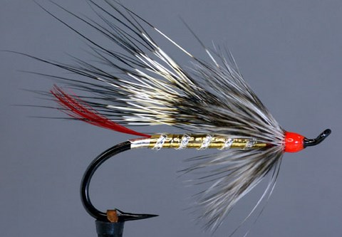Gold Rat, Création Roy Angus Thompson