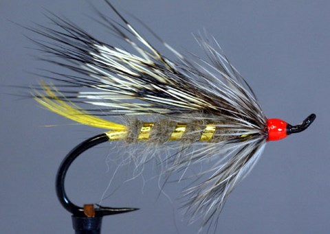 Gray Rat, Création Roy Angus Thompson