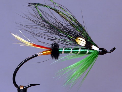Green Dose, Création Bill Taylor