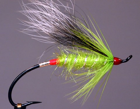 Green Gem, Création Daryl Burry