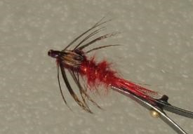 La Montréal Dark Nymphe F.G.