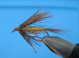 La Mouche de Mai Brillante