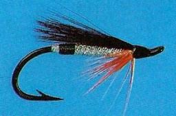 Miramichi Special