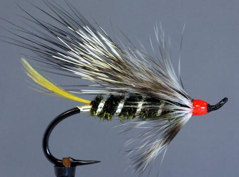 Rat, Création Roy Angus Thompson.