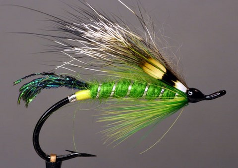 Roger's Fancy, Création Shirly E. Woods