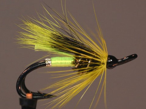 Taylor Special, Création Arthur Taylor