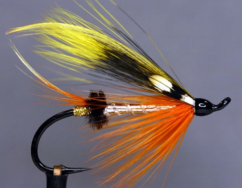 Yellow Canary