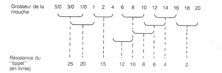​GUIDE DE PROPORTIONS ("TIPPET"- MOUCHE)