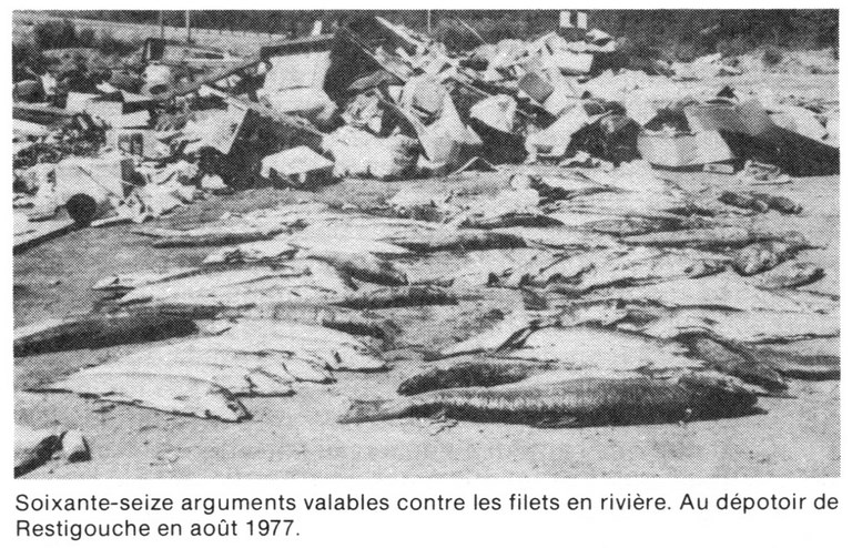 Les Indiens et le Braconnage du Saumon