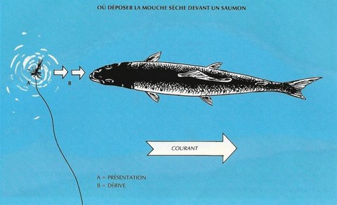 APPROCHE OU SAUMON À LA MOUCHE SÈCHE