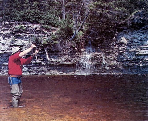 LA RÉSURRECTION DES RIVIÈRES À SAUMONS