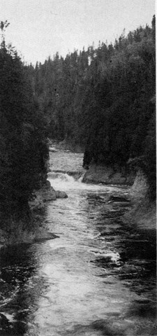 LA RIVIÈRE OUELLE