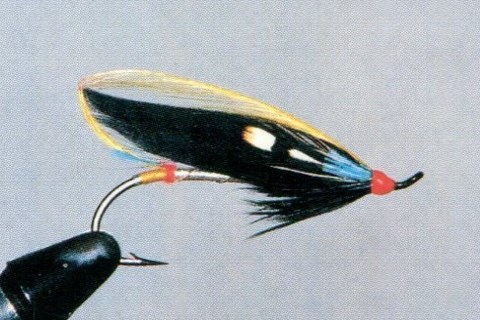 NIGHT HAWK