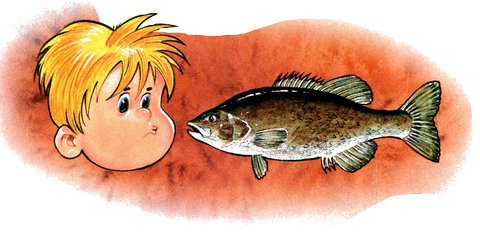 La pêche de l'achigan à petite bouche