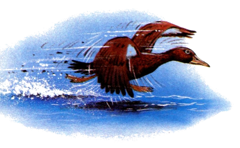 Une Chasse remplie d'action