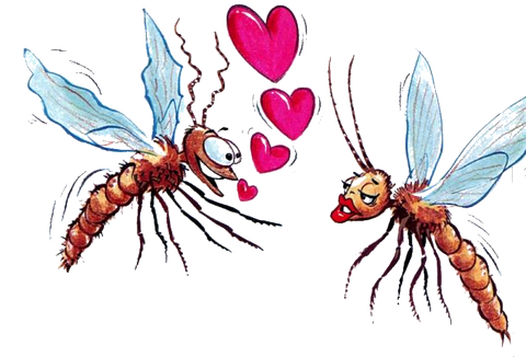 Les Insectes Aquatiques