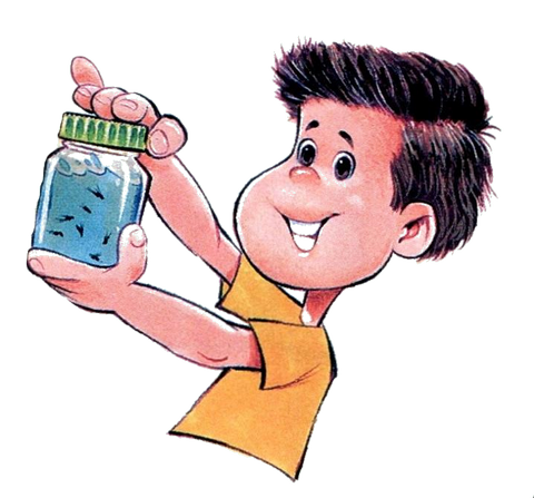 Piégeage des insectes aquatiques