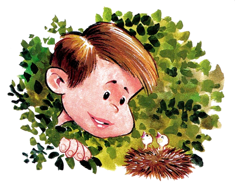 Des Oiseaux à la Maison