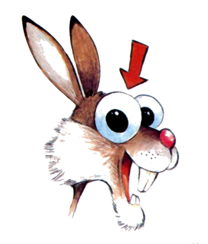 Chasse aux Petits Gibiers