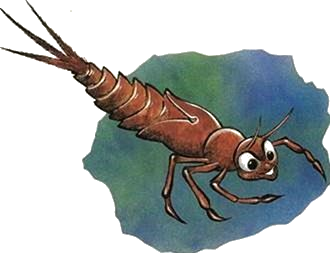 La Vie des Éphémères