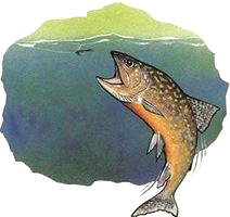 La Vie des Éphémères