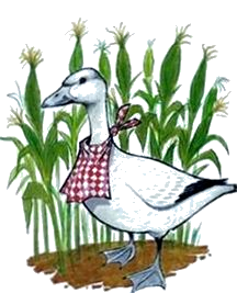 Une grande capacité d'adaptation