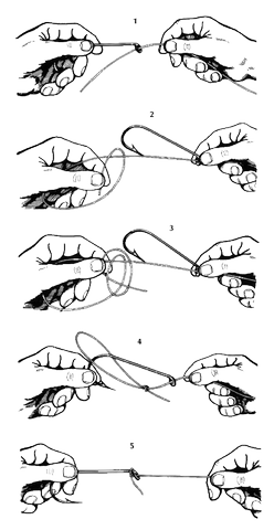   LE NOEUD DE TORTUE