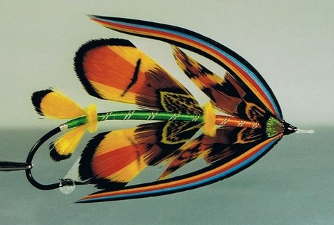 art japson orange