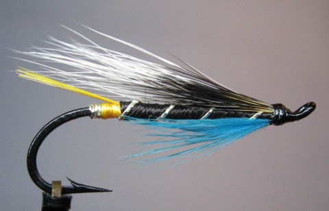 blue charm