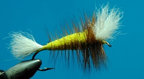 bomber chartreuse et brun