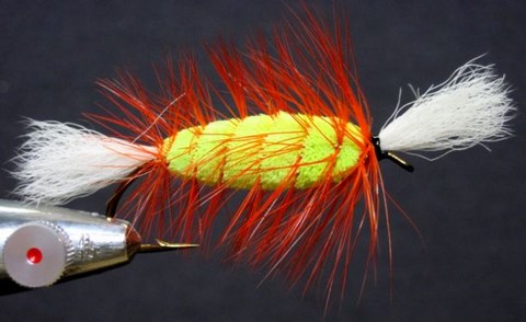BOMBER CIGAR; CHARTREUSE, HACKLE ORANGE