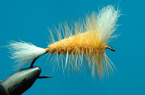 bomber crevette