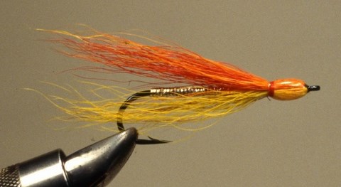Thunder Creek 