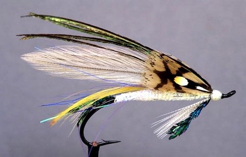 Chaleur Bay Smelt