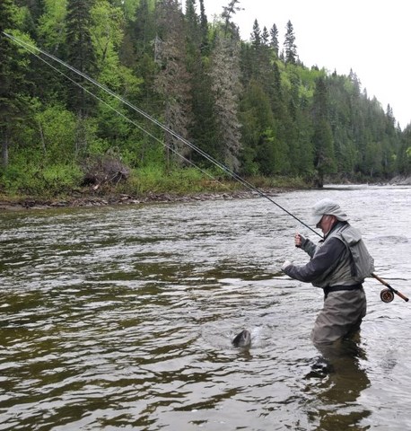 Il Ne Faut Pas Se Gêner Pour Faire Les Choses Différemment Des Autres