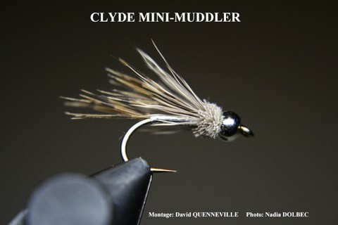 Clyde Mini-Muddler